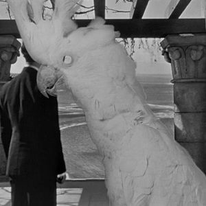 Meet your Posher, Salil